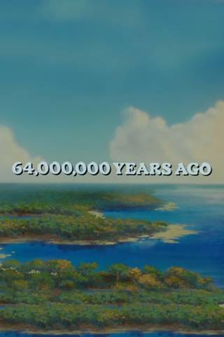64,000,000 Years Ago